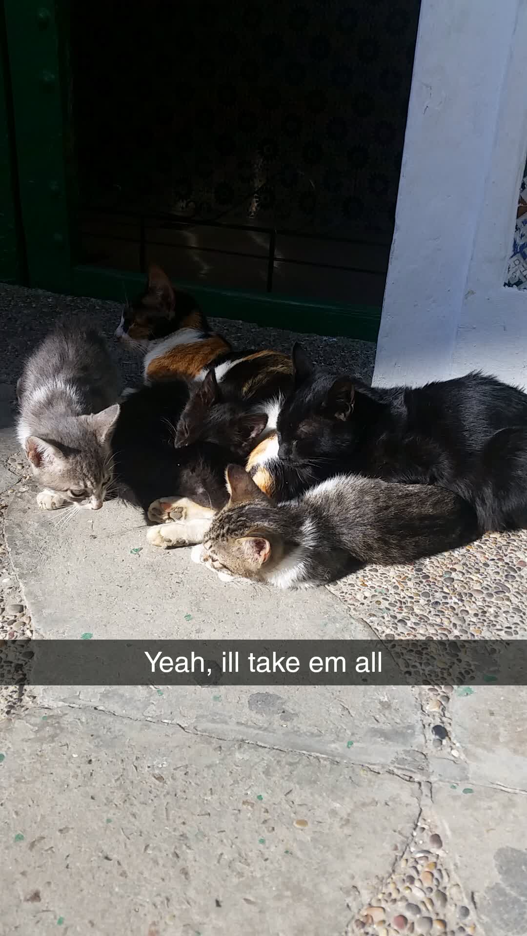 How to Fix Snapchat Exports: Missing Dates, Wrong Timestamps & Overlay Issues (2025) (No Coding Required)